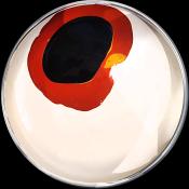 verfblik sea shell 03-2024 WA0003